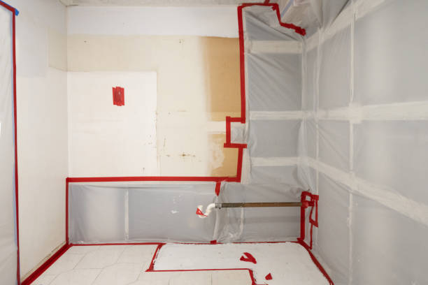  Norway, MI Mold Removal Pros