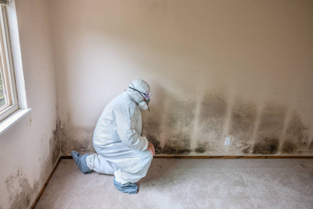 Best Industrial Mold Remediation  in Norway, MI