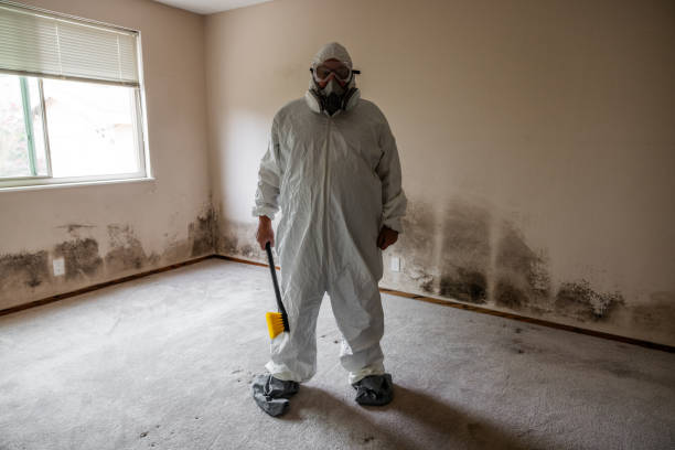 Best Biohazard Mold Removal  in Norway, MI